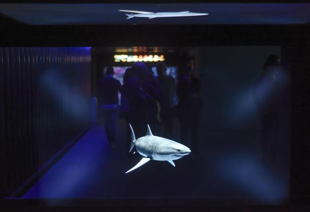 L'Acquario delle Nuove Meraviglie