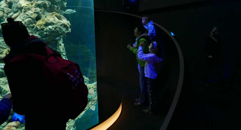 Acquario di Genova &mdash; percorso espositivo