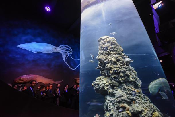 Acquario di Genova &mdash; allestimento immersivo