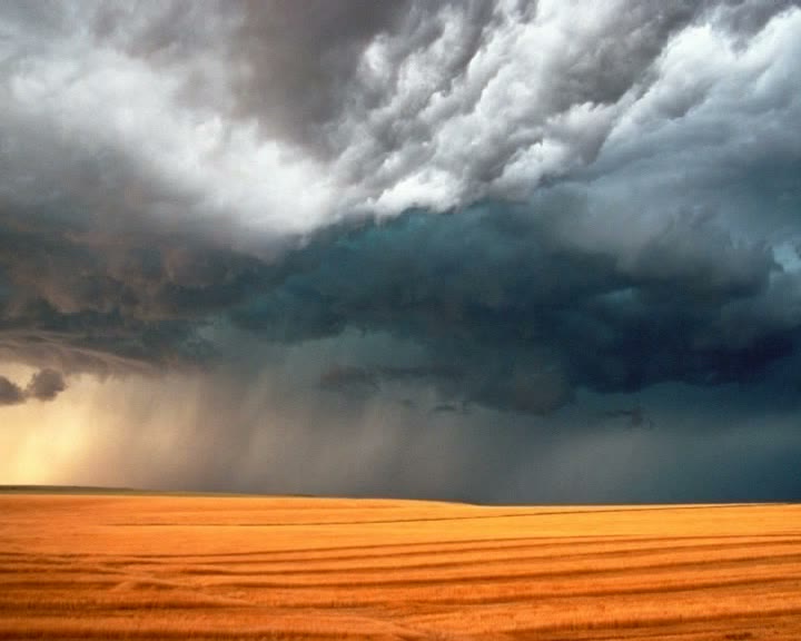 Commedia — Sfondo: cielo tempestoso su campo di grano, video Taraborrelli
