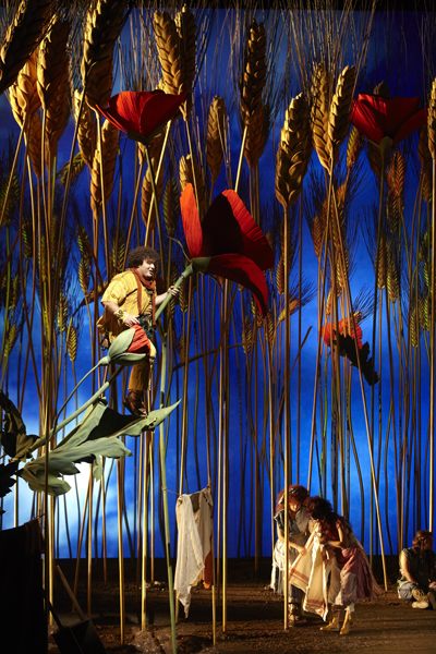 L'Elisir d'Amore — Nemorino tra le spighe giganti