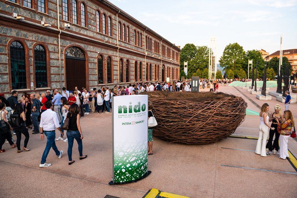 Nido — detail of interwoven branches with dramatic lighting
