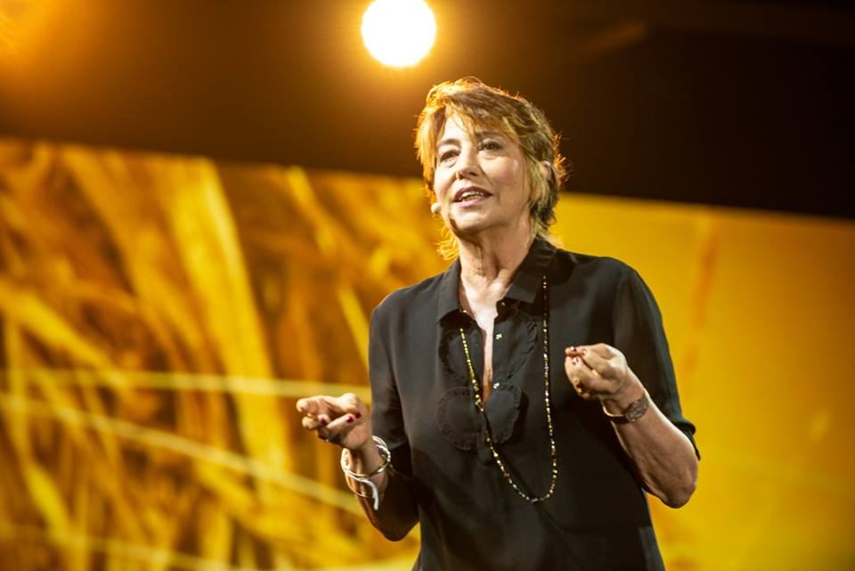 Nido — nest structure illuminated at night