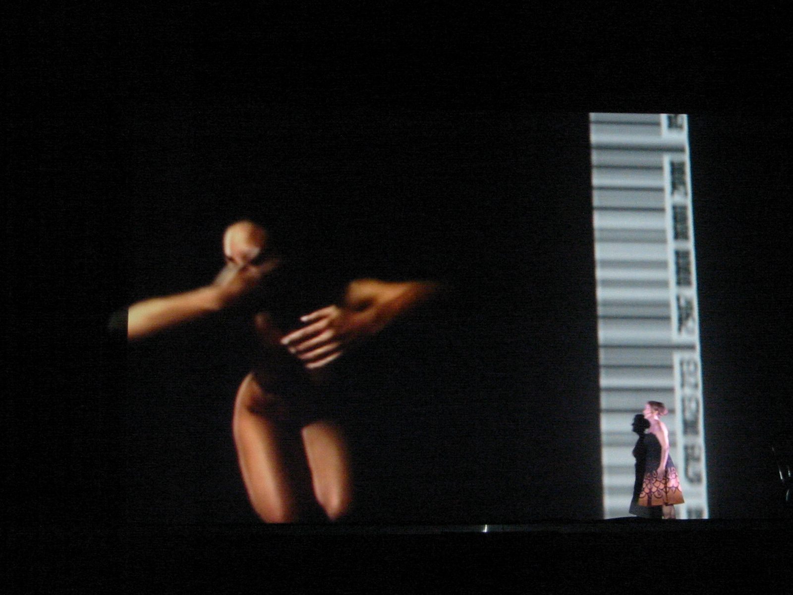 Variazioni sul Cielo &mdash; body projection with actress on stage